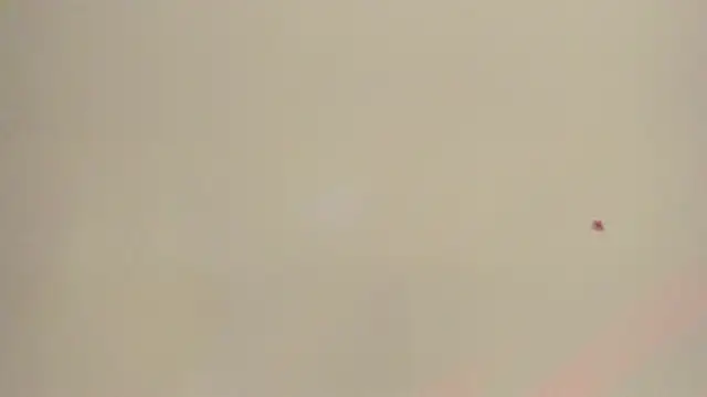 Snapshot of Melanie__Evans chatting on May 12, 10:56 am Melanie Evans online show from May 12, 10:56 am