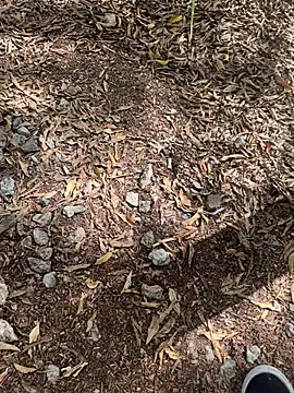 tyd247 online show from February 22, 11:36 pm