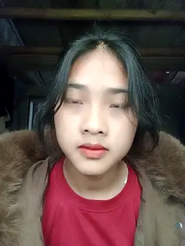 Hoa-tuylip online show from February 1, 4:11 am