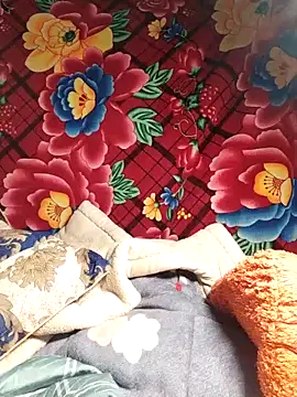 Snapshot of Reina_Fcup01 chatting on February 14, 2:14 pm Reina Fcup01 online show from February 14, 2:14 pm