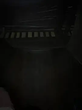 kekely online show from July 25, 2:03 pm