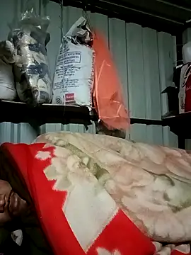 Krishna-10 online show from February 5, 5:17 pm