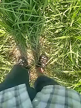 Cute Boy 4 online show from February 22, 5:30 am