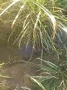 Cute Boy 4 online show from February 27, 2:44 am