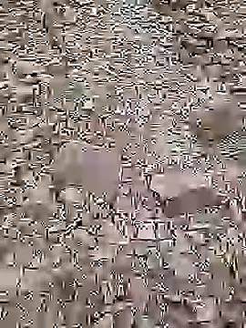 Cute Boy 4 online show from July 14, 2:01 pm
