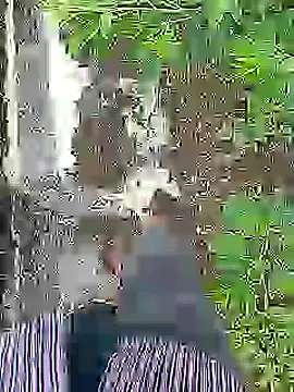 Cute Boy 4 online show from July 16, 4:29 am