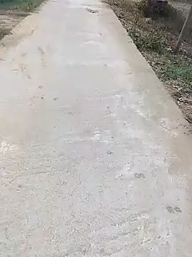 janu 9900 online show from February 1, 10:14 am