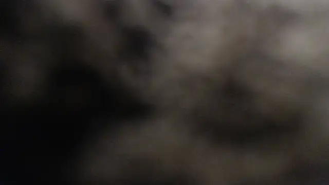 Barbara D Valencia online show from March 30, 4:08 pm