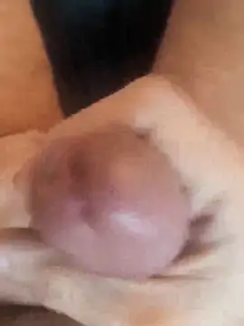 Der Tom 20 online show from February 6, 12:08 pm