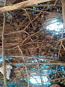 Rajni248096 online show from March 12, 7:58 am