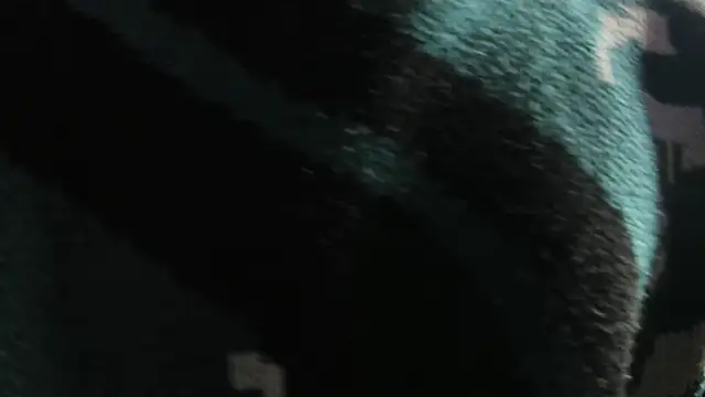 Christopher Hunter online show from March 22, 4:27 am