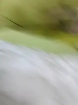 ONixCris online show from February 20, 5:24 pm