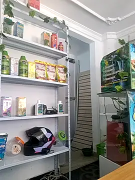 Tatianna Loove  online show from March 14, 2:55 pm