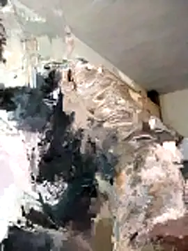 Snapshot of BoxedDitty chatting on February 21, 3:18 am BoxedDitty online show from February 21, 3:18 am