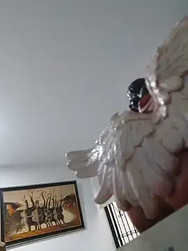 joanmanci1046 online show from February 3, 12:54 pm