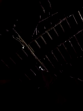 alex callmemaybe69 online show from February 9, 9:30 pm