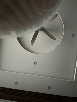 czamabe online show from February 19, 10:00 am