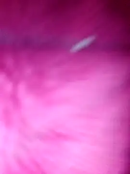 Snapshot of Hellentrans24 chatting on March 25, 8:53 am Hellentrans24 online show from March 25, 8:53 am