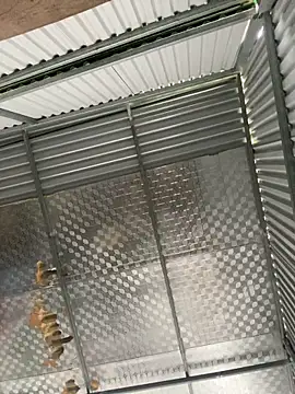 Snapshot of tuncube chatting on March 9, 6:17 am tuncube online show from March 9, 6:17 am