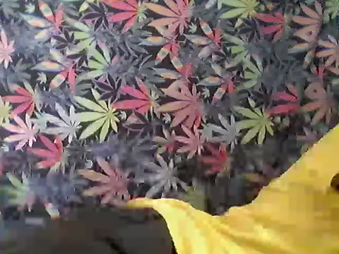 Snapshot of libraxxxstudios chatting on July 24, 9:57 pm libraxxxstudios online show from July 24, 9:57 pm