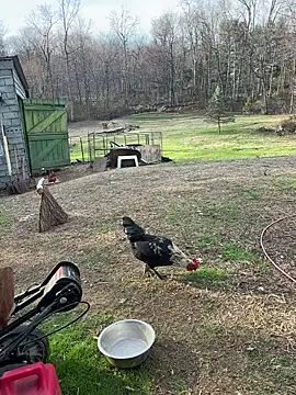 Snapshot of tommattsonn chatting on March 22, 9:40 pm tommattsonn online show from March 22, 9:40 pm