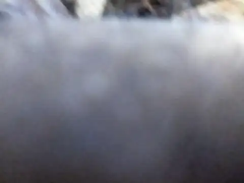 Joecool1009 online show from February 3, 12:31 am