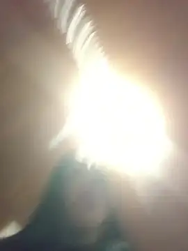 MeelFox online show from June 3, 2:58 am