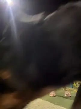 Arya    online show from February 19, 5:47 am