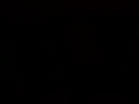 Tommyzzzzzz online show from December 29, 2:17 am