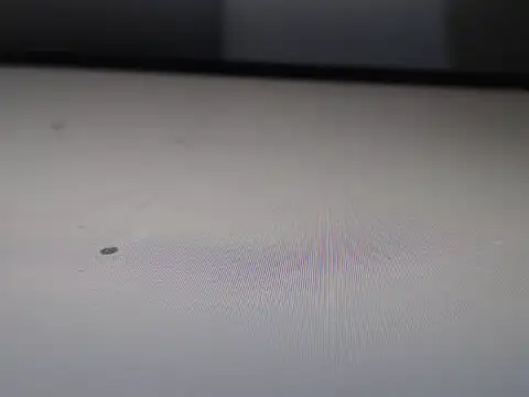 AlyssaBrown online show from February 21, 7:04 pm