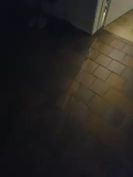 Donnybrascoo online show from February 10, 8:02 pm