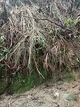 Snapshot of aiai220 chatting on March 25, 1:22 am aiai220 online show from March 25, 1:22 am