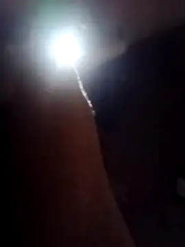 javi431 online show from February 8, 3:54 am