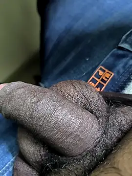 Tamil Bulll online show from February 8, 9:29 pm