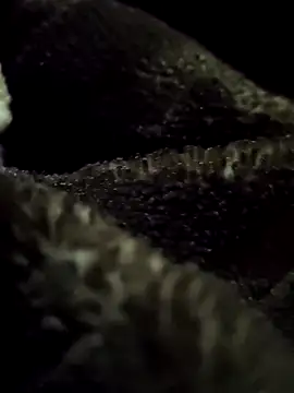 aryanvfit online show from February 9, 6:01 pm