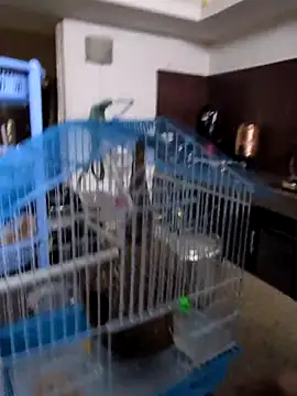 Snapshot of sexysilmy chatting on February 25, 8:35 am sexysilmy online show from February 25, 8:35 am