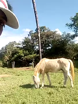 Snapshot of nego5628 chatting on March 8, 6:12 pm nego5628 online show from March 8, 6:12 pm