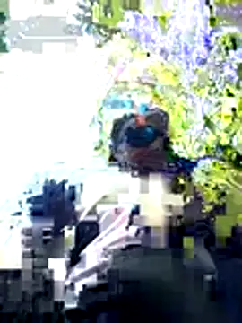 Snapshot of ShadowLove85 chatting on May 29, 1:42 pm ShadowLove85 online show from May 29, 1:42 pm