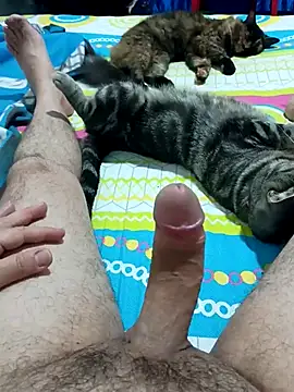 Snapshot of JFC161612 chatting on April 7, 6:14 am JFC161612 online show from April 7, 6:14 am