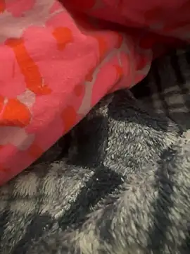 gbox123 online show from February 11, 4:56 pm