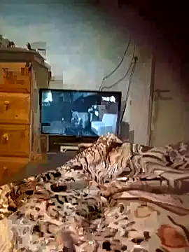 Snapshot of Morocha_exotica00 chatting on March 21, 5:56 am Morocha exotica00 online show from March 21, 5:56 am