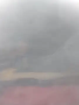 Snapshot of cobrosdepagos chatting on March 14, 3:06 pm cobrosdepagos online show from March 14, 3:06 pm