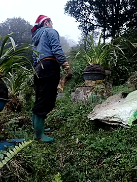 Snapshot of nelina_12345 chatting on February 13, 10:44 am nelina 12345 online show from February 13, 10:44 am