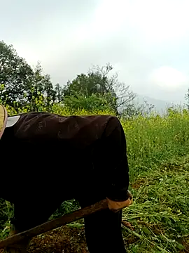 Snapshot of nelina_12345 chatting on March 26, 1:44 am nelina 12345 online show from March 26, 1:44 am