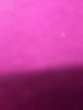 Anya Volker online show from April 2, 12:25 pm