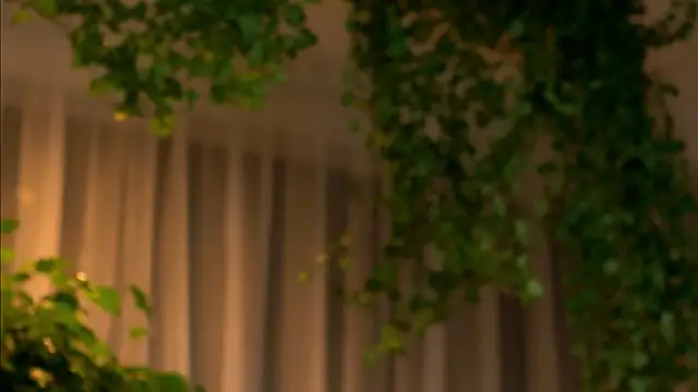 TheMaddisonShow  online show from March 4, 3:56 am