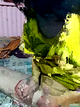 Snapshot of mimpake chatting on April 2, 10:24 am mimpake online show from April 2, 10:24 am