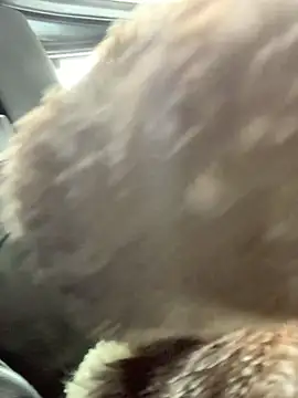 Snapshot of Emily-Fire chatting on March 5, 7:21 pm Emily-Fire online show from March 5, 7:21 pm