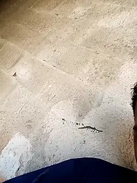 Snapshot of negopreto_ chatting on February 24, 7:34 pm negopreto online show from February 24, 7:34 pm