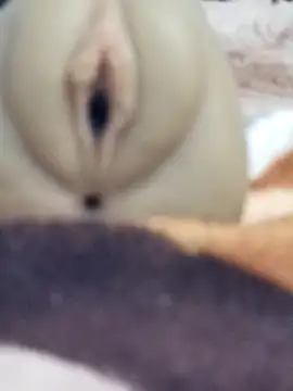 Mikecrazyhy online show from February 25, 3:16 am